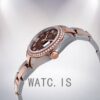 Rolex Datejust Ladies 28mm m279381rbr-0010 Automatic Chocolate Dial Watch - Image 3