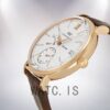 IWC Portofino IW510107 Men's 43mm/40mm Gold-tone Watch - Image 3